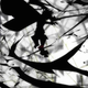 Illustration for article titled emMadoka Magica: Beginnings/em May Be Better Than the Series